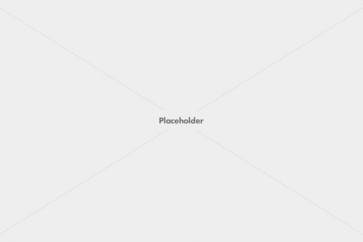 placeholder-1600 placeholder-1600