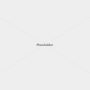 placeholder-1600 placeholder-1600
